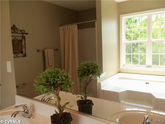 10 Earl Road Goochland, VA 23063 - Photo 14 of 17 a potted plant sitting next to a window