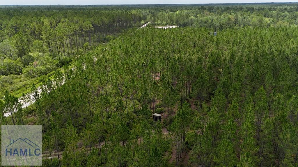 0 Fire Tower Road Manor, GA 31550 - Photo 5 of 6 Gallery Image 5