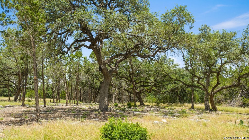 5 Cypress Cove Road Spring Branch, TX 78070 - Photo 10 of 17 Gallery Image 10