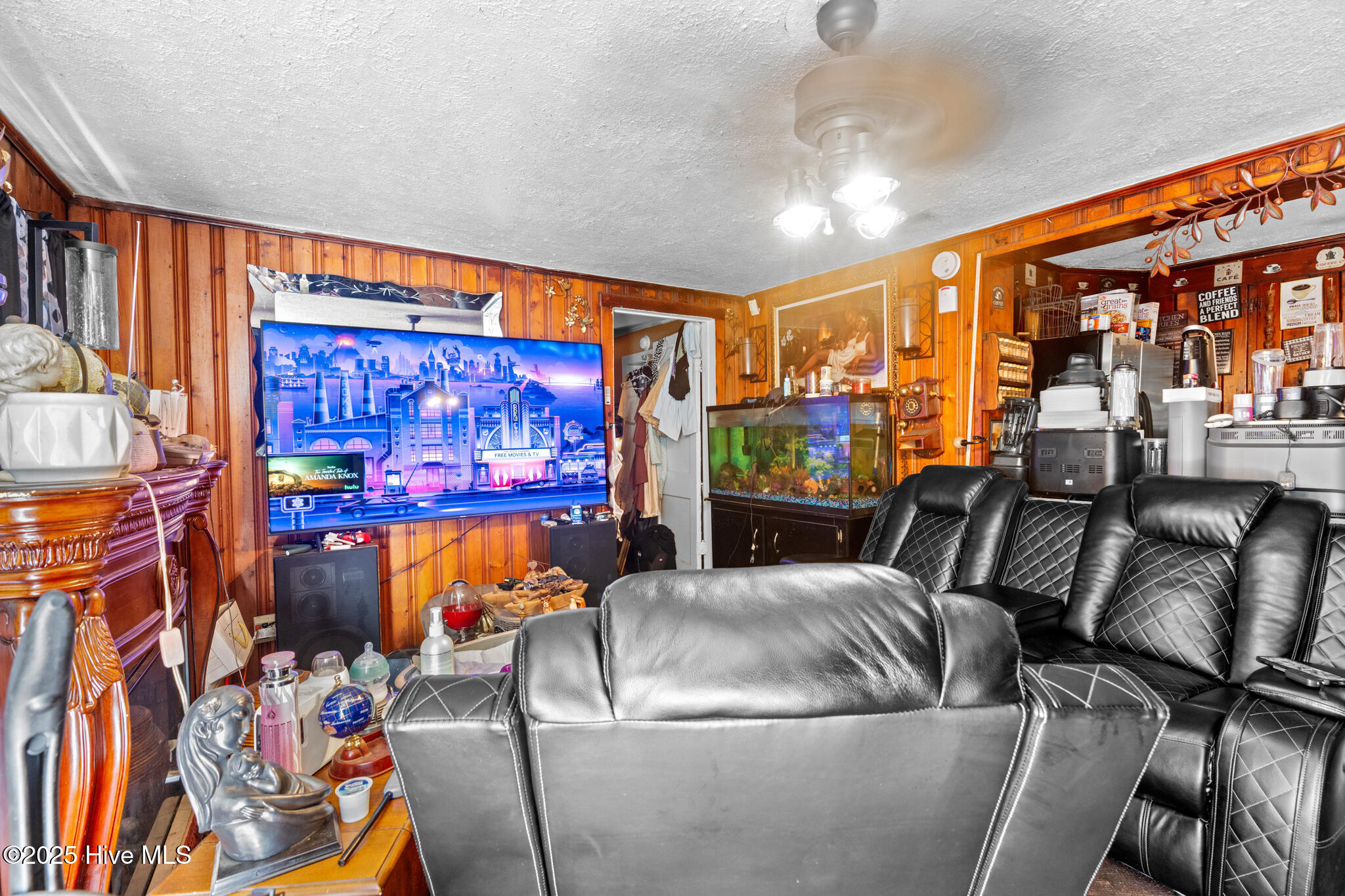 201 Lee's Mill Road Laurinburg, NC 28352 - Photo 4 of 93 A7409339