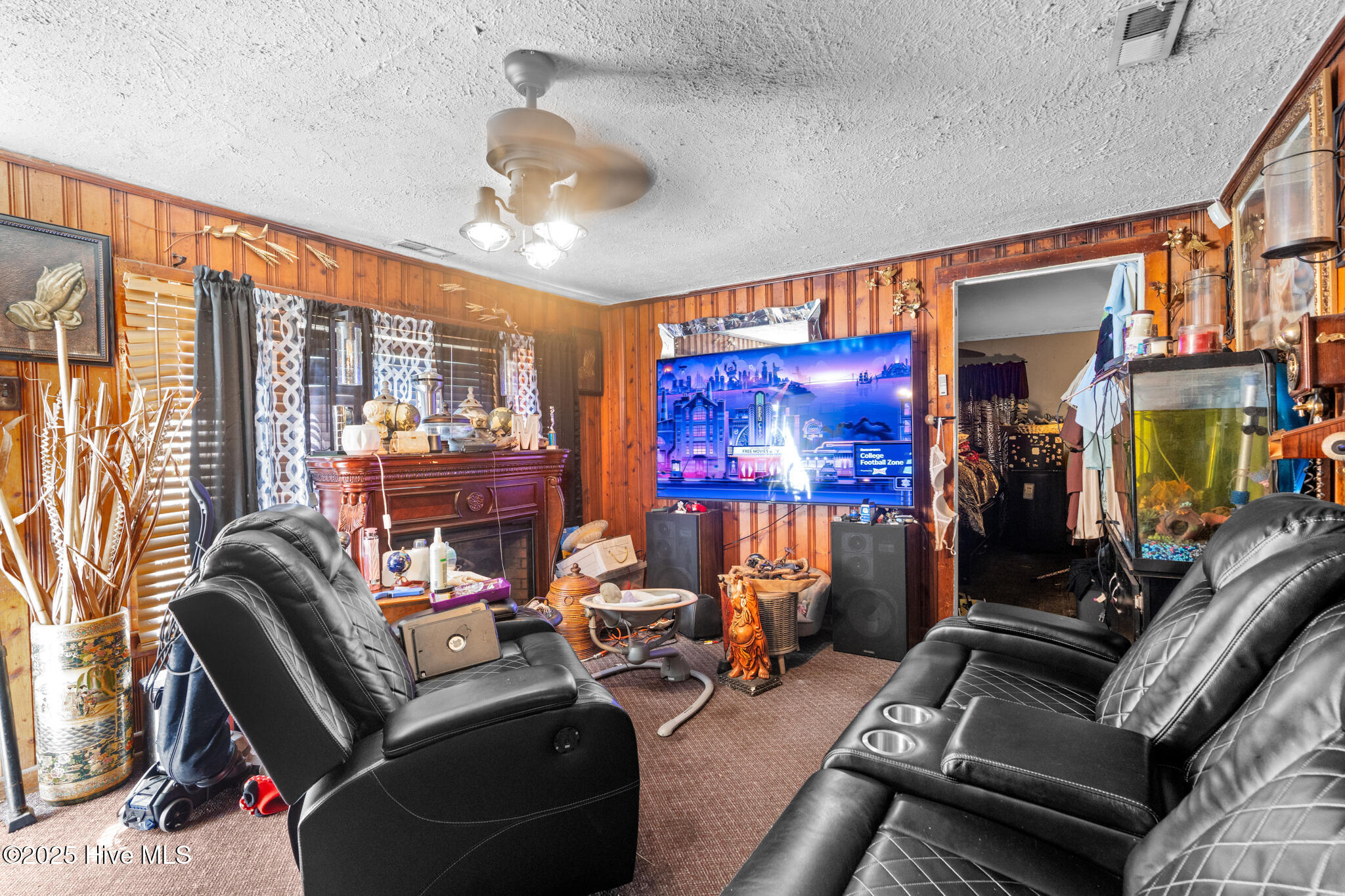 201 Lee's Mill Road Laurinburg, NC 28352 - Photo 5 of 93 A7409342