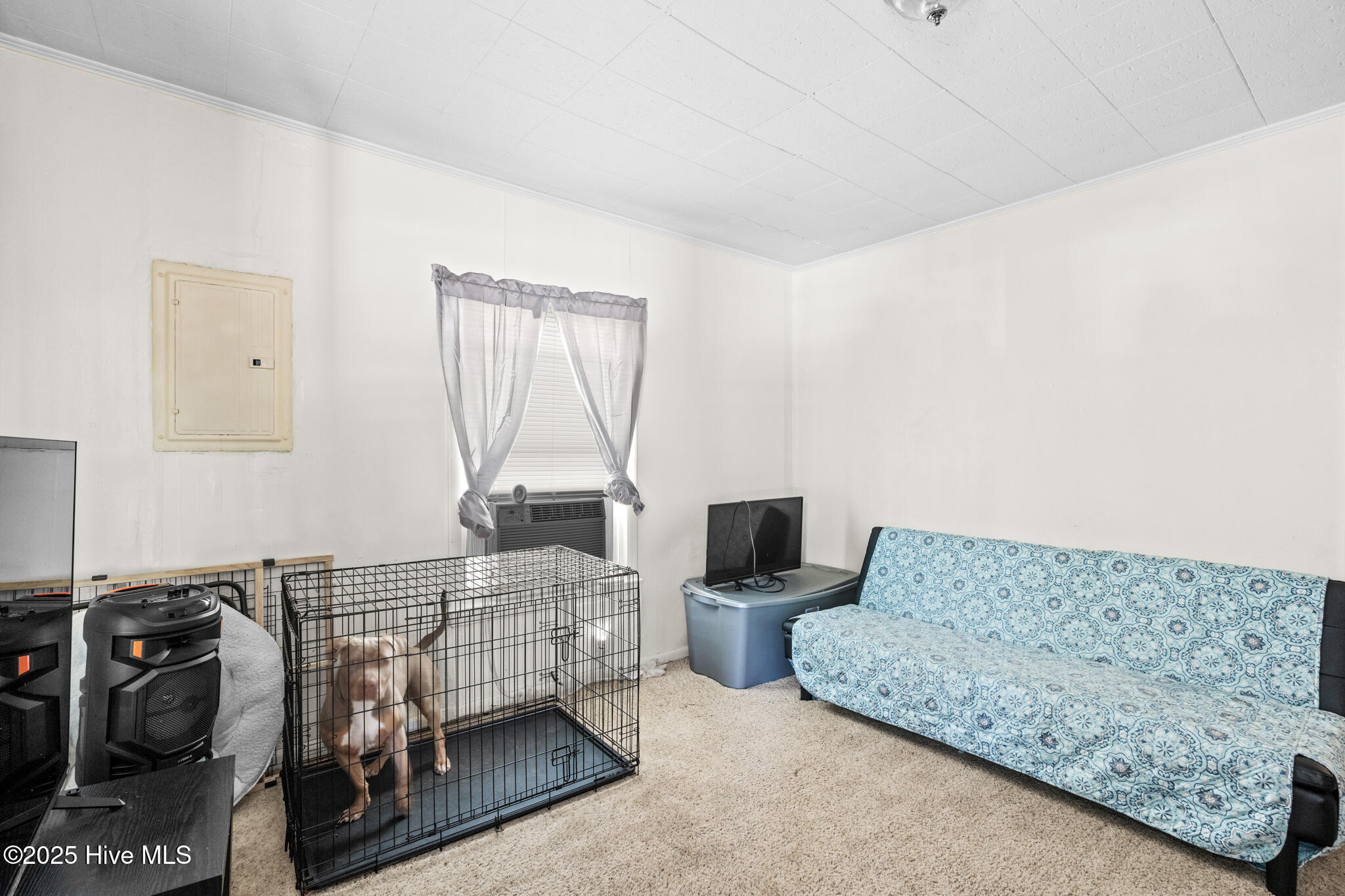 201 Lee's Mill Road Laurinburg, NC 28352 - Photo 61 of 93 A7409531