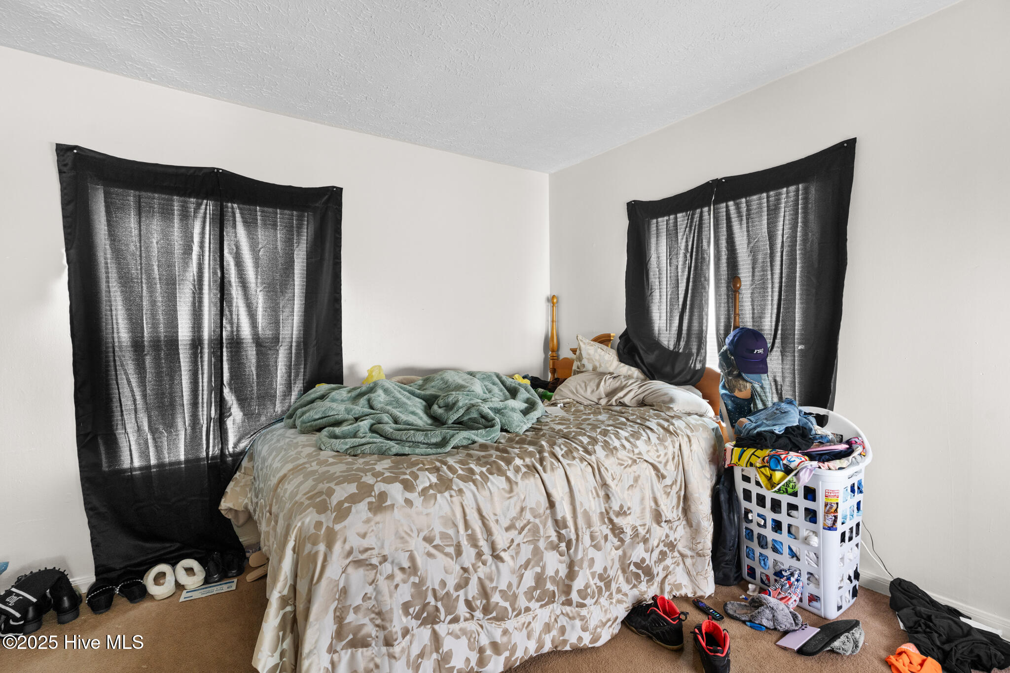 201 Lee's Mill Road Laurinburg, NC 28352 - Photo 65 of 93 A7409543