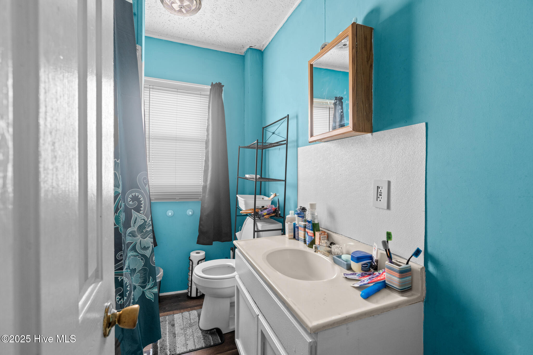 201 Lee's Mill Road Laurinburg, NC 28352 - Photo 68 of 93 A7409552