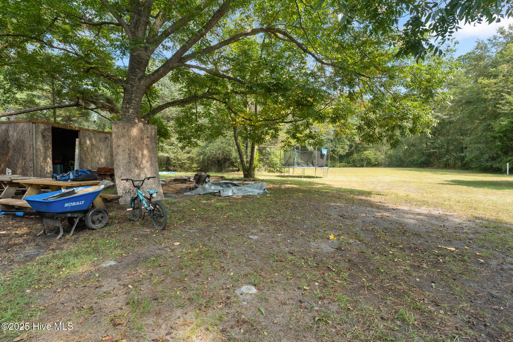201 Lee's Mill Road Laurinburg, NC 28352 - Photo 73 of 93 A7409566