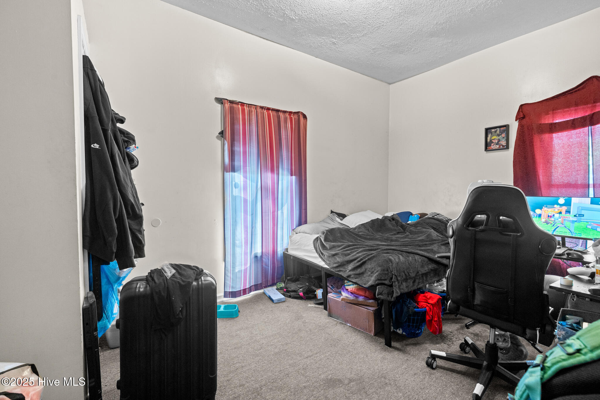 201 Lee's Mill Road Laurinburg, NC 28352 - Photo 81 of 93 A7409591