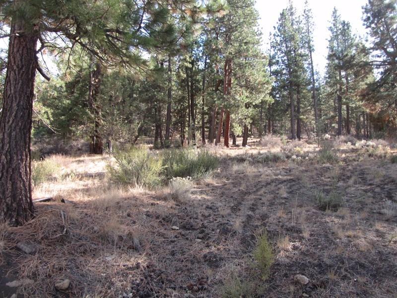 22815 Sprague River Road Chiloquin, OR 97624 - Photo 7 of 32 Additional Photo