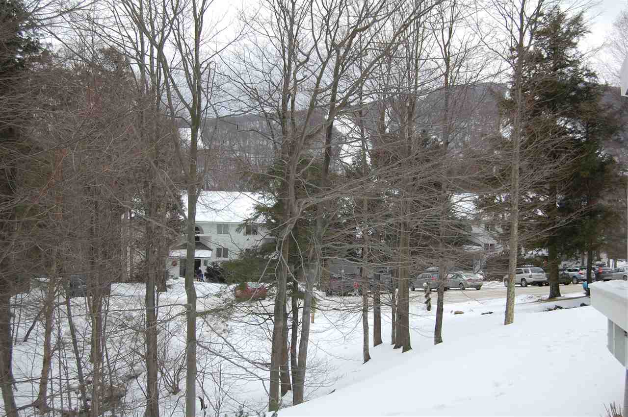 19 Paradise Way Warren, VT 05674 - Photo 22 of 22 Gallery Image 22