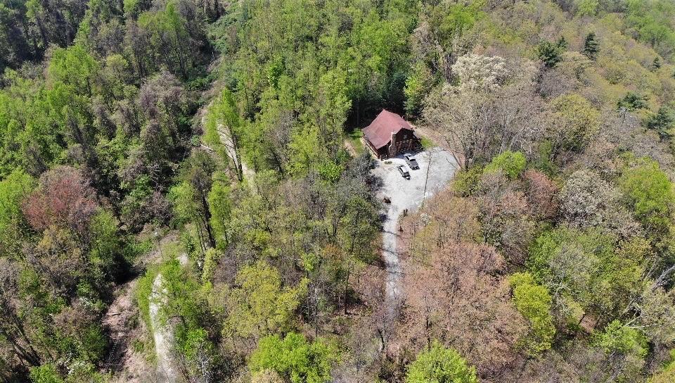 1196 Ridge Hollow Road Del Rio, TN 37727 - Photo 27 of 37 25