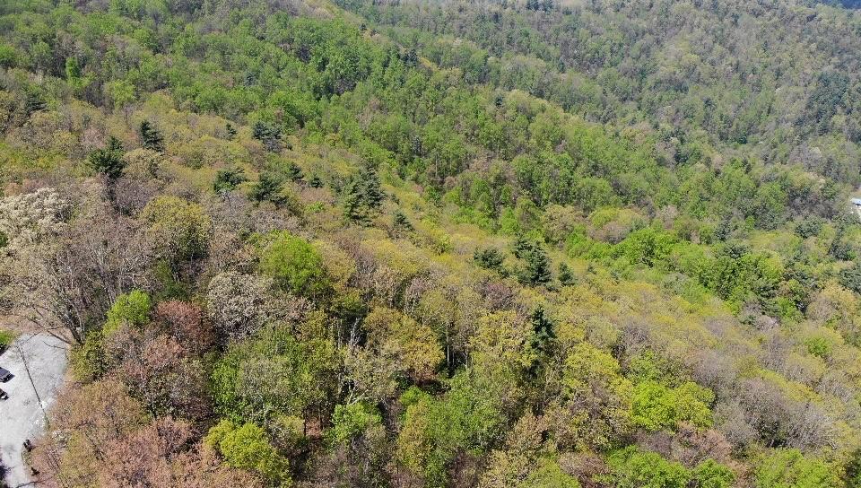 1196 Ridge Hollow Road Del Rio, TN 37727 - Photo 28 of 37 26