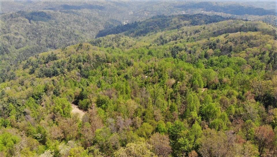 1196 Ridge Hollow Road Del Rio, TN 37727 - Photo 29 of 37 26a