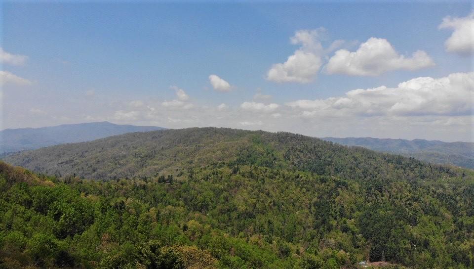 1196 Ridge Hollow Road Del Rio, TN 37727 - Photo 31 of 37 28