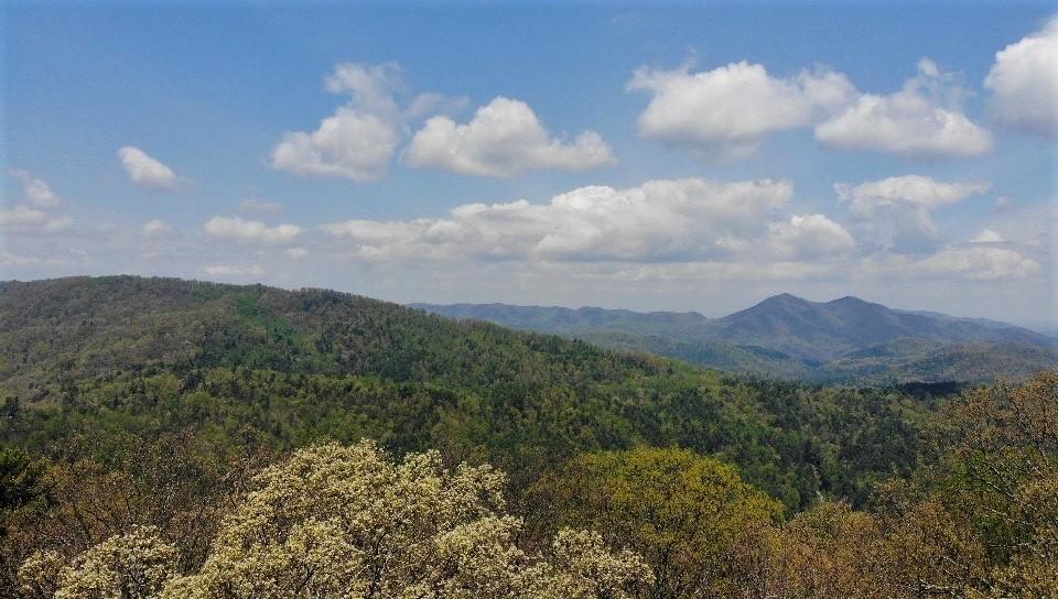 1196 Ridge Hollow Road Del Rio, TN 37727 - Photo 32 of 37 29
