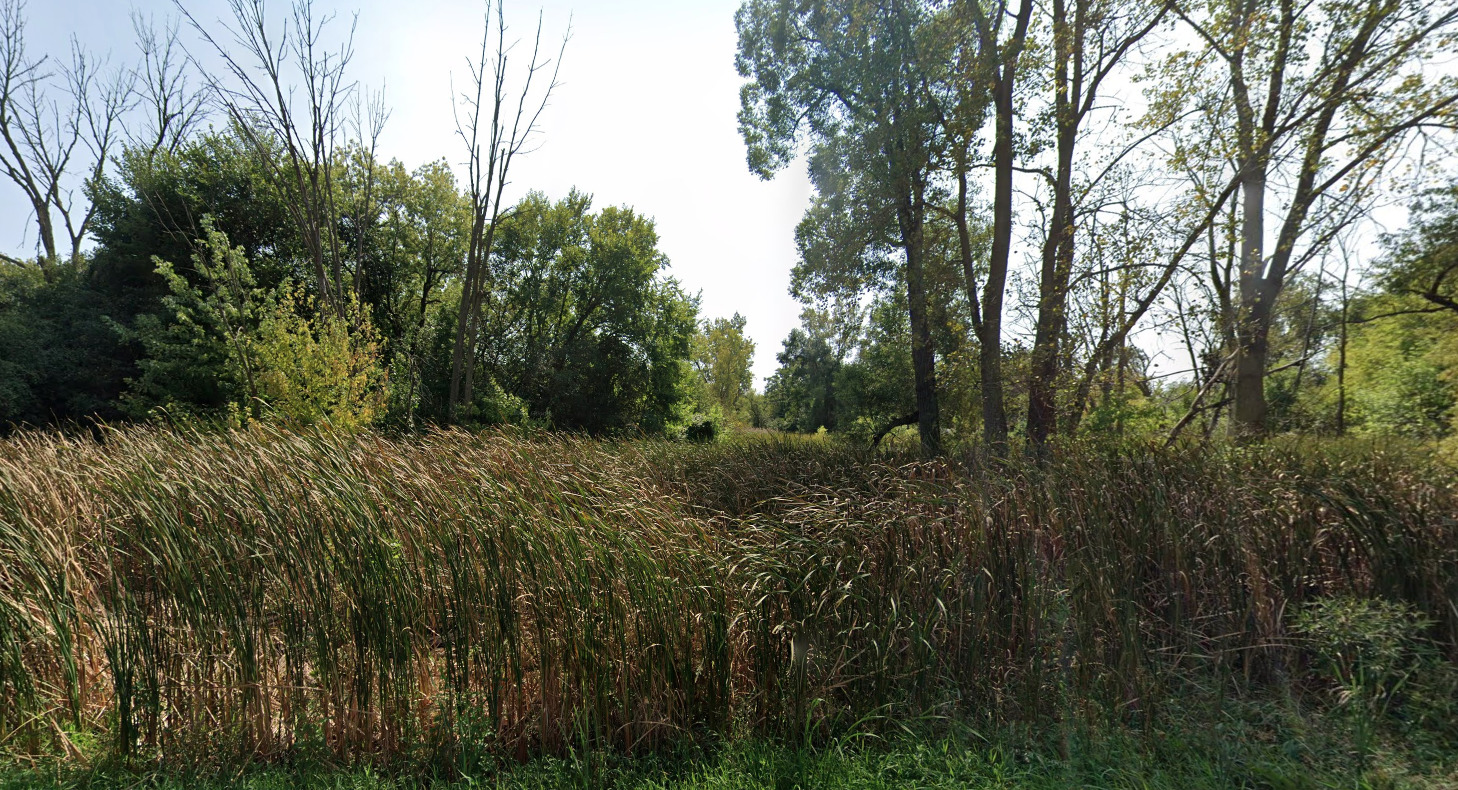 12787 West Grove Avenue Waukegan, IL 60085 - Photo 2 of 4 a view of a forest with a tree