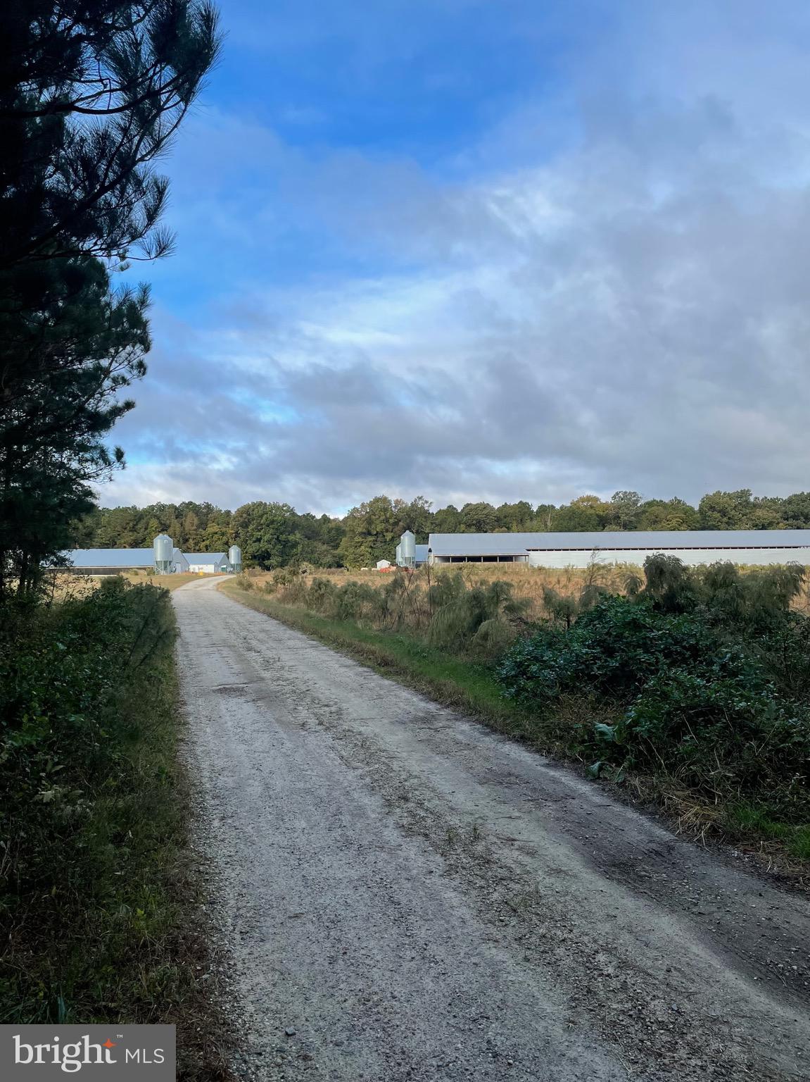 4400 Shelltown Road Marion Station, MD 21838 - Photo 2 of 33