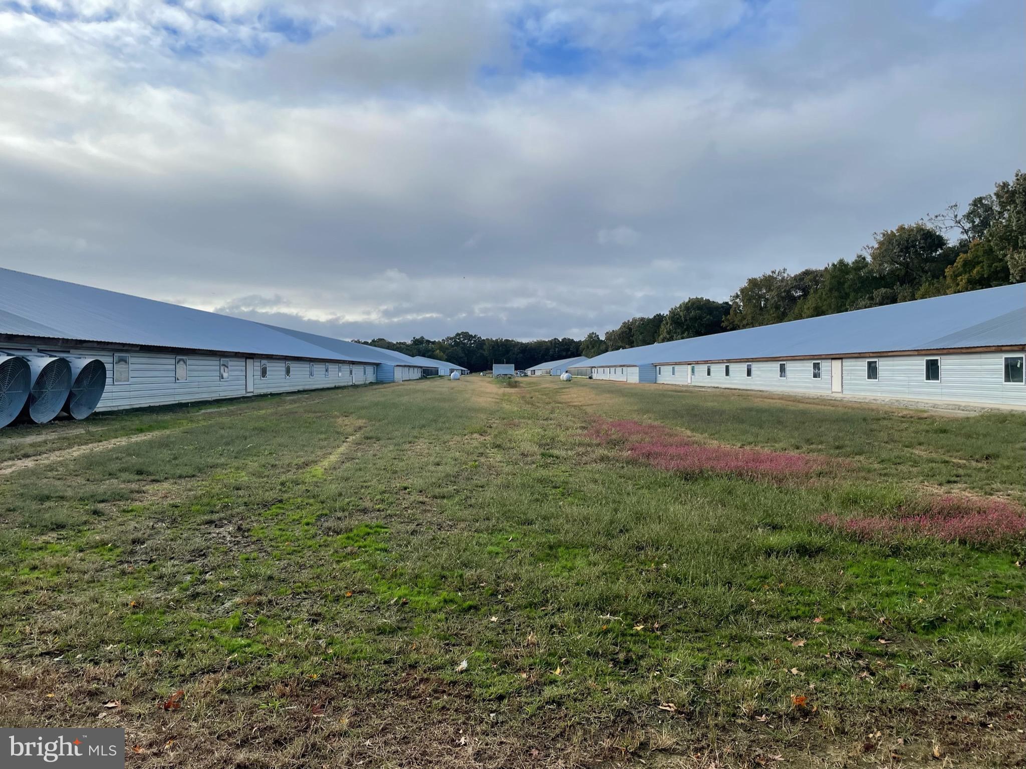 4400 Shelltown Road Marion Station, MD 21838 - Photo 25 of 33