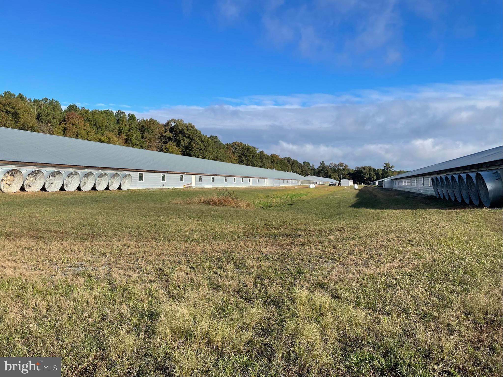 4400 Shelltown Road Marion Station, MD 21838 - Photo 26 of 33