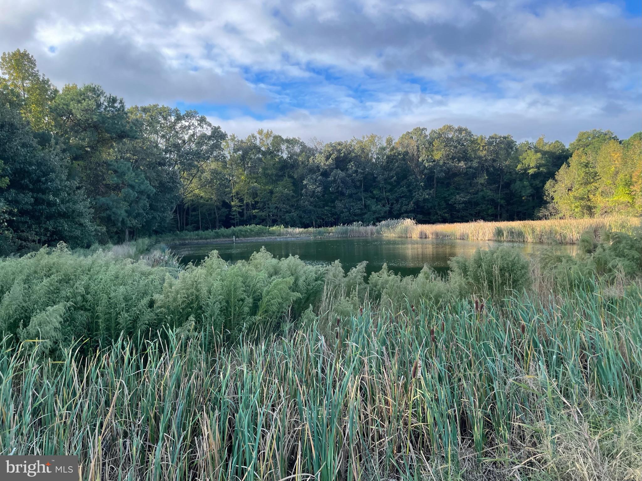 4400 Shelltown Road Marion Station, MD 21838 - Photo 27 of 33 Pond