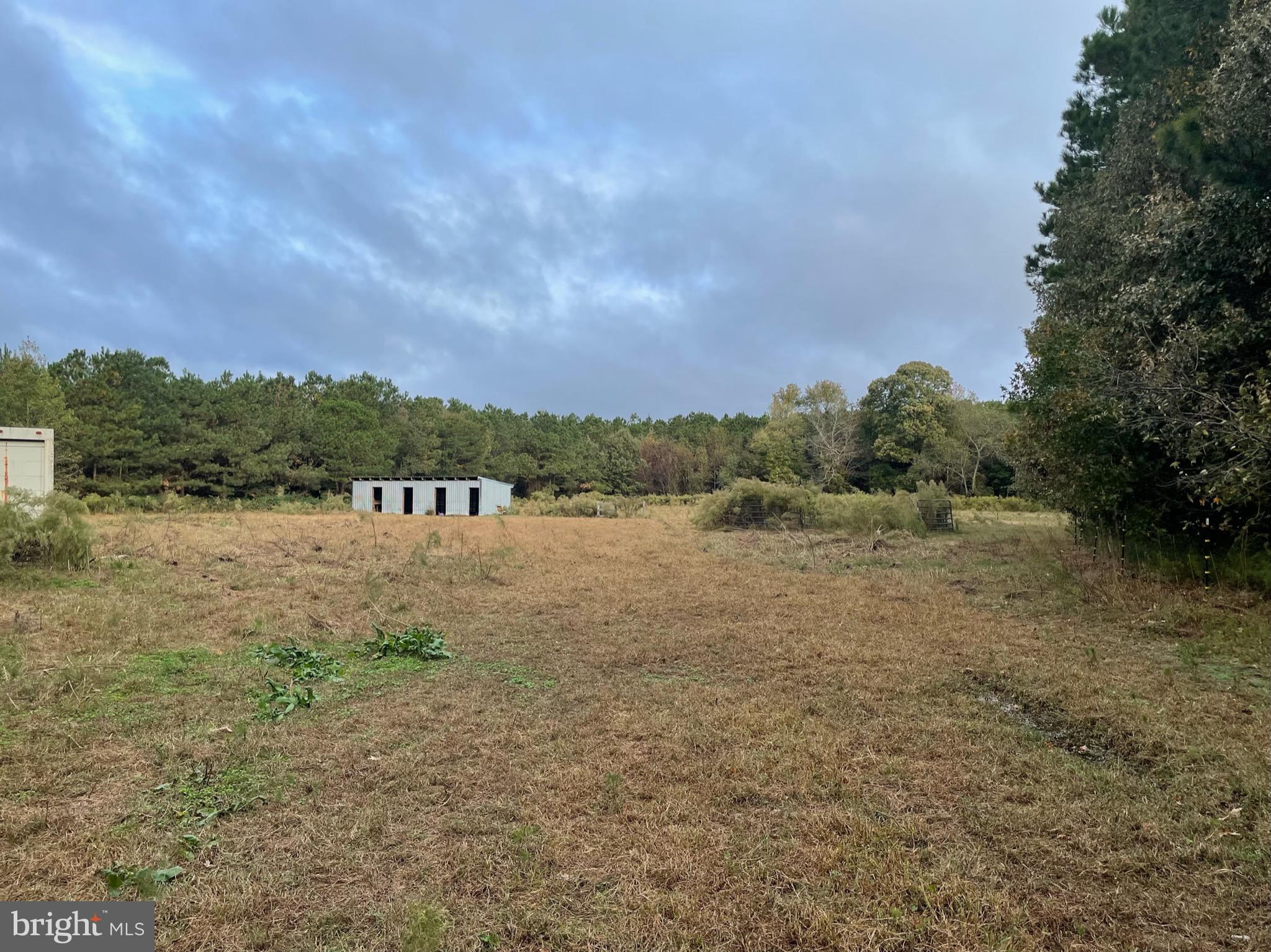 4400 Shelltown Road Marion Station, MD 21838 - Photo 4 of 33 Horse/Cattle Barn