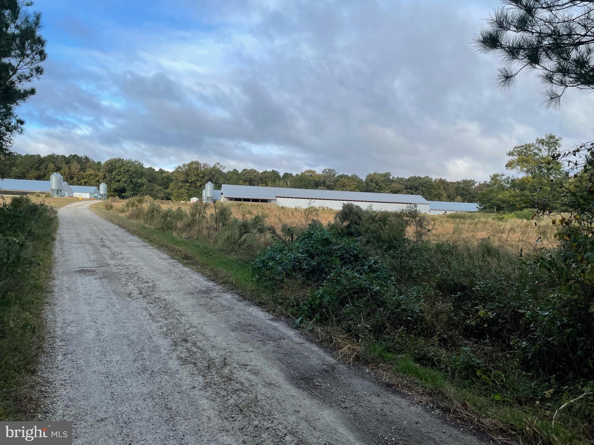 4400 Shelltown Road Marion Station, MD 21838 - Photo 8 of 33