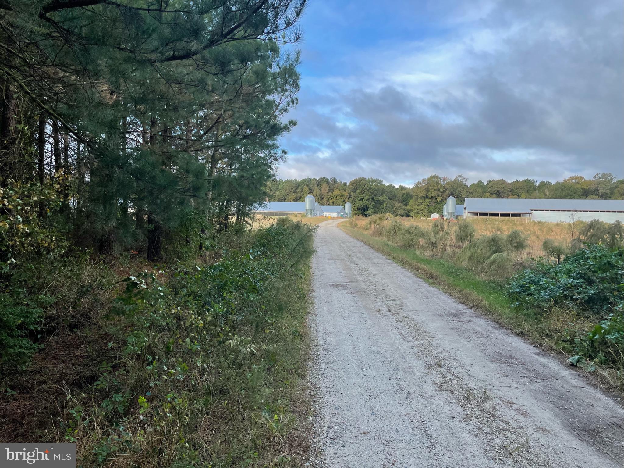 4400 Shelltown Road Marion Station, MD 21838 - Photo 9 of 33