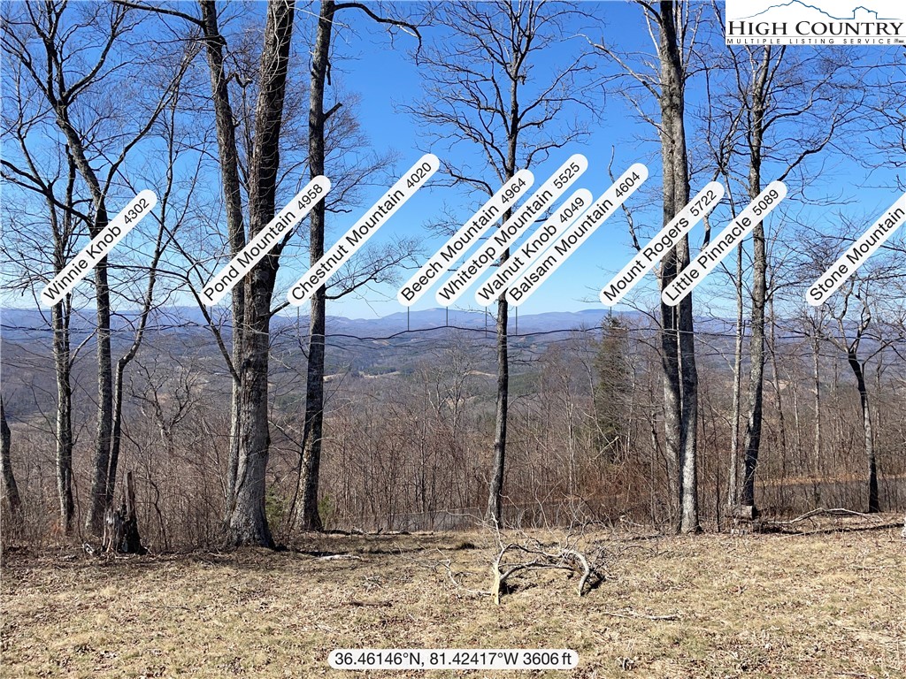 Tbd Lot #4 Tbd Ridge Lansing, NC 28643 - Photo 15 of 23 a view of a pathway of a house