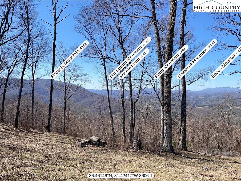 Tbd Lot #4 Tbd Ridge Lansing, NC 28643 - Photo 16 of 23 a backyard of a house with lots of green space