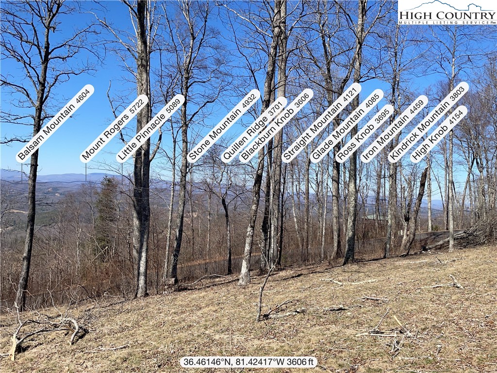 Tbd Lot #4 Tbd Ridge Lansing, NC 28643 - Photo 17 of 23 a view of a yard with a tree