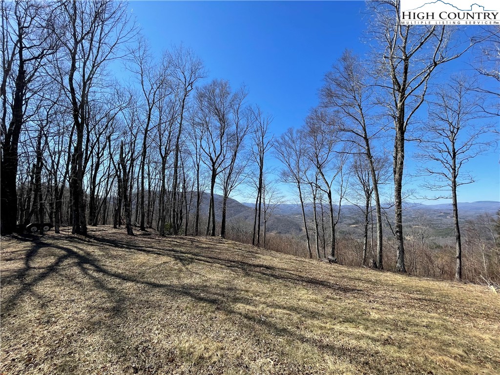 Tbd Lot #4 Tbd Ridge Lansing, NC 28643 - Photo 18 of 23 a view of a backyard of the house