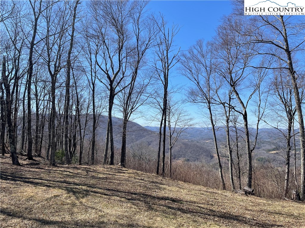 Tbd Lot #4 Tbd Ridge Lansing, NC 28643 - Photo 19 of 23 a view of a backyard of the house