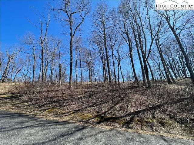 a view of a backyard of the house