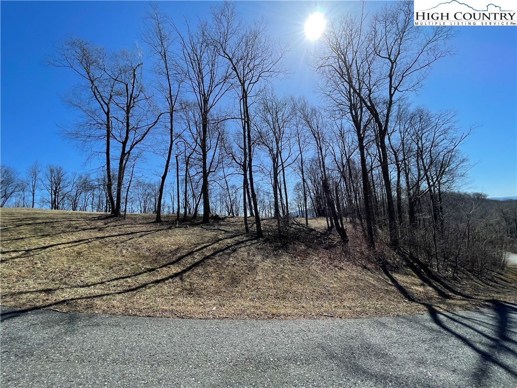 Tbd Lot #4 Tbd Ridge Lansing, NC 28643 - Photo 22 of 23 a view of a backyard of the house