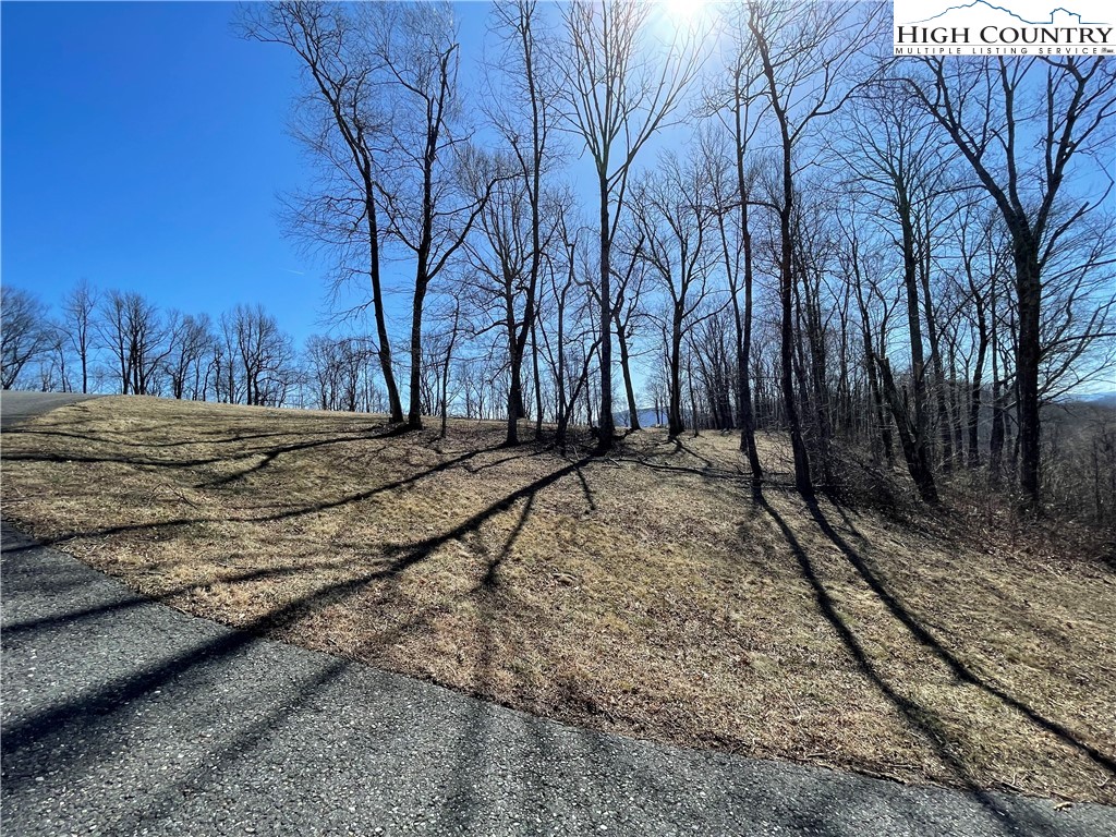 Tbd Lot #4 Tbd Ridge Lansing, NC 28643 - Photo 23 of 23 a view of a backyard of the house