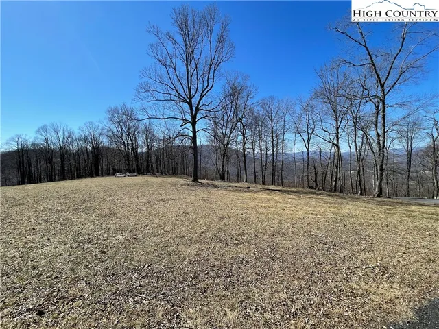 a view of road with a yard