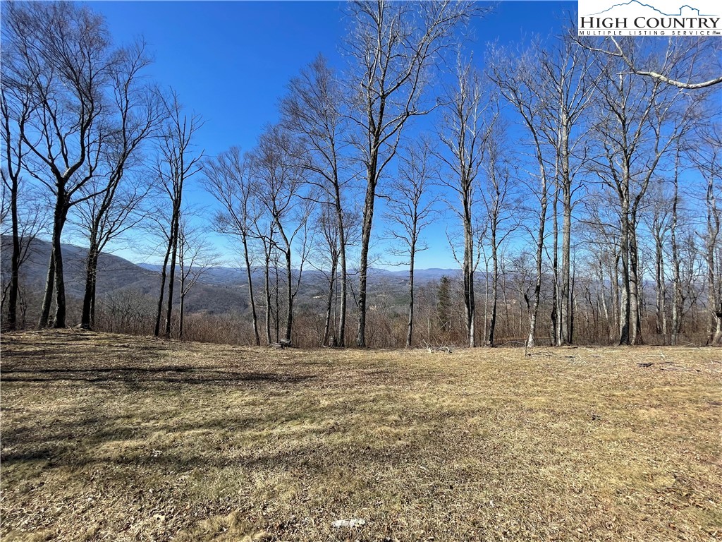 Tbd Lot #4 Tbd Ridge Lansing, NC 28643 - Photo 10 of 23 a big yard with large trees