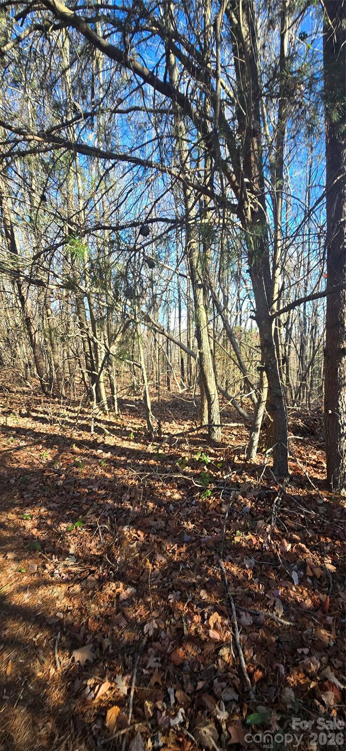 0 Gettys Road Ellenboro, NC 28040 - Photo 3 of 4 a view of yard