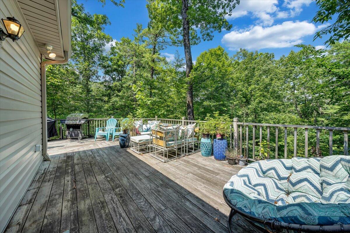 6717 Raintree Road Roanoke, VA 24018 - Photo 13 of 39 16-Rapid Imagery-7662