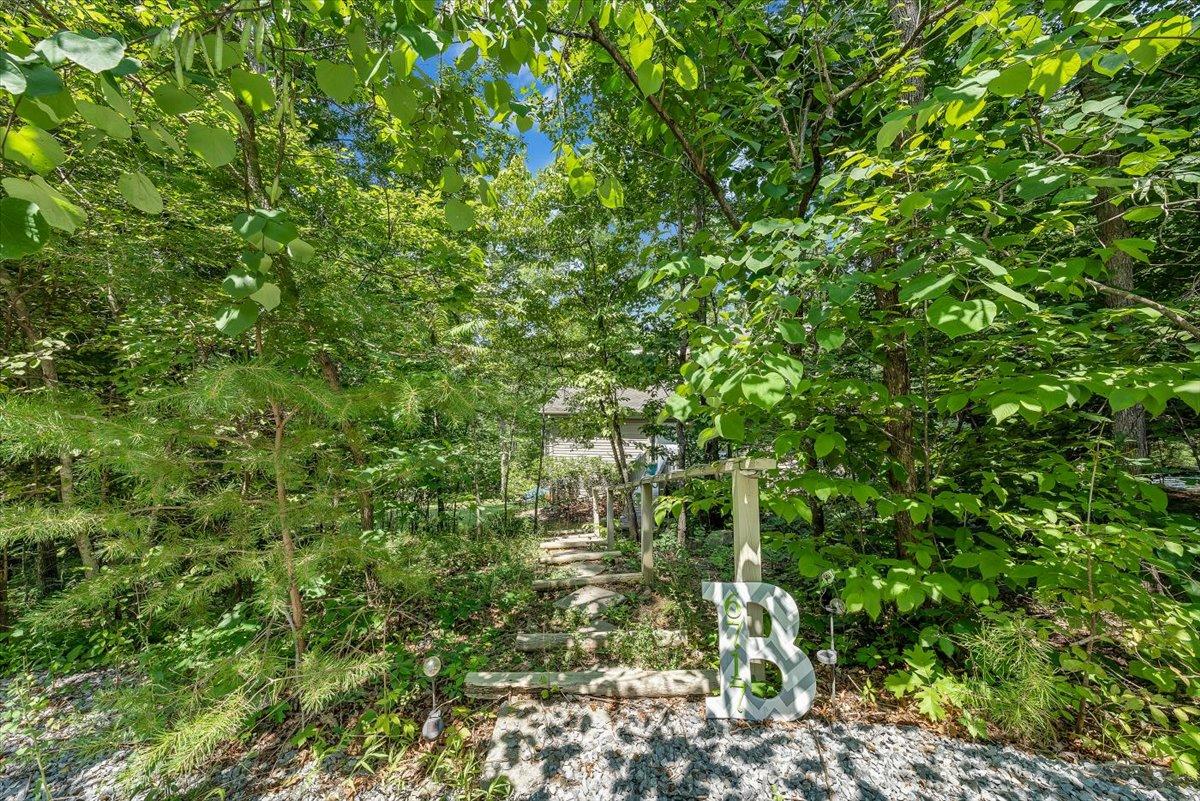 6717 Raintree Road Roanoke, VA 24018 - Photo 3 of 39 03-Rapid Imagery-7647