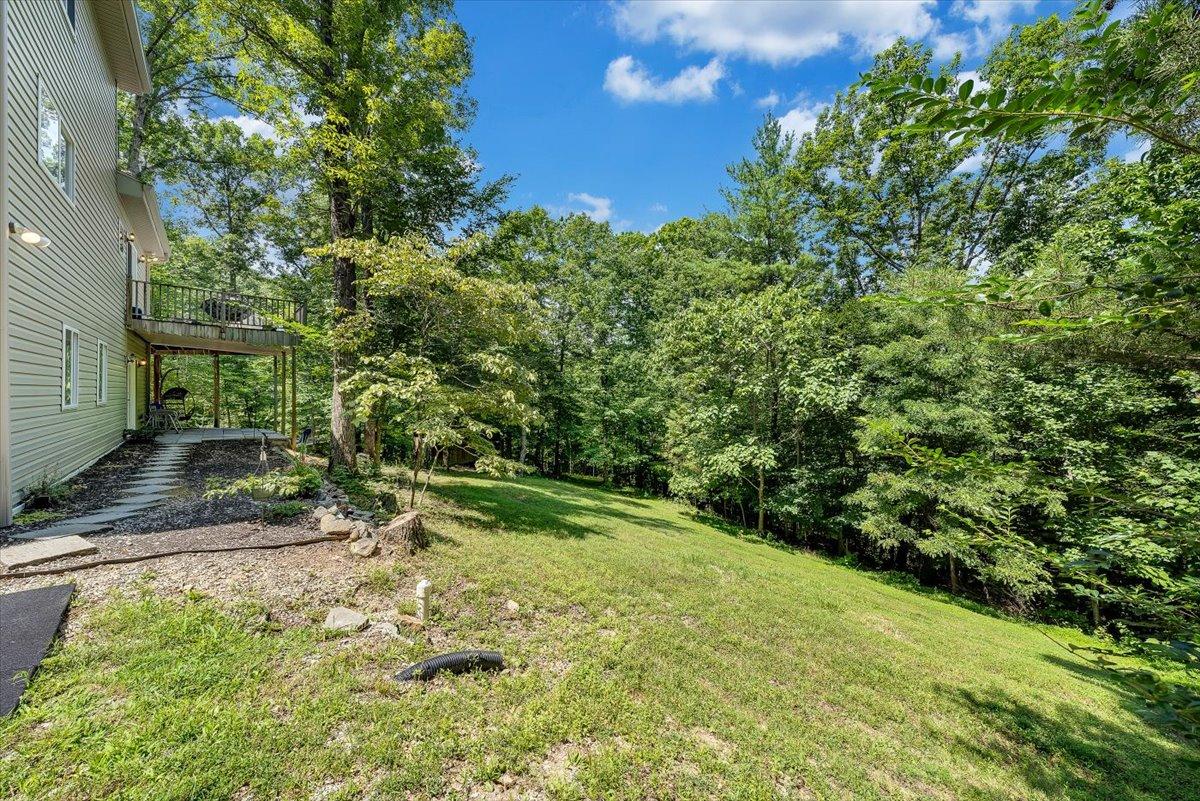 6717 Raintree Road Roanoke, VA 24018 - Photo 7 of 39 04-Rapid Imagery-7648