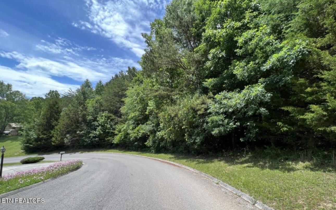 Presidential Boulevard Harrogate, TN 37752 - Photo 4 of 5 IMG_4621