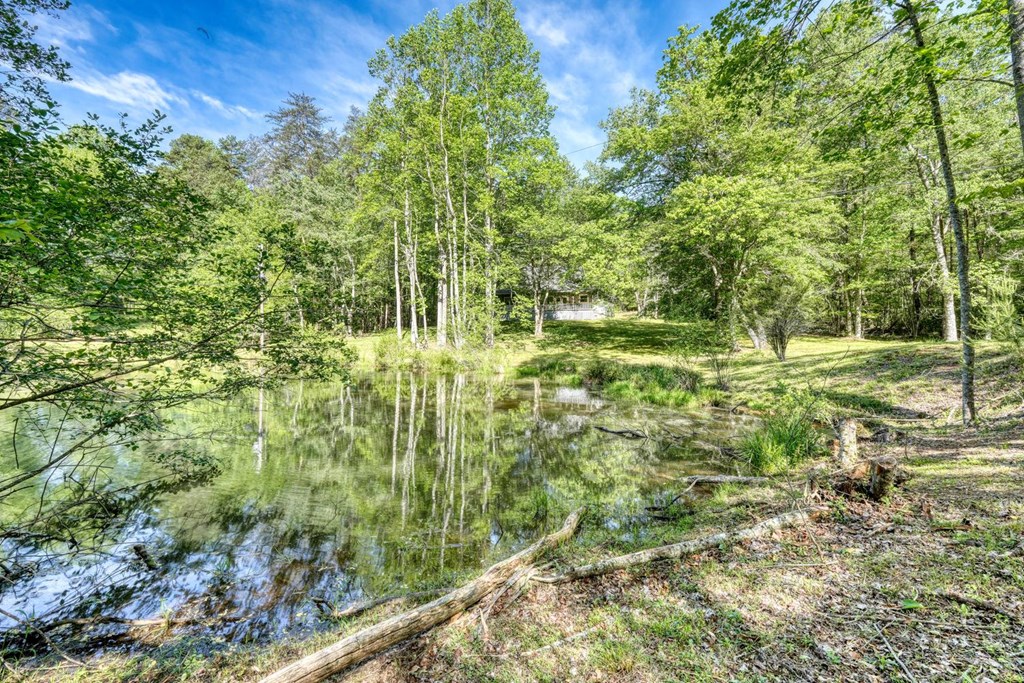 1493 Greasy Creek Road Brasstown, NC 28902 - Photo 39 of 51