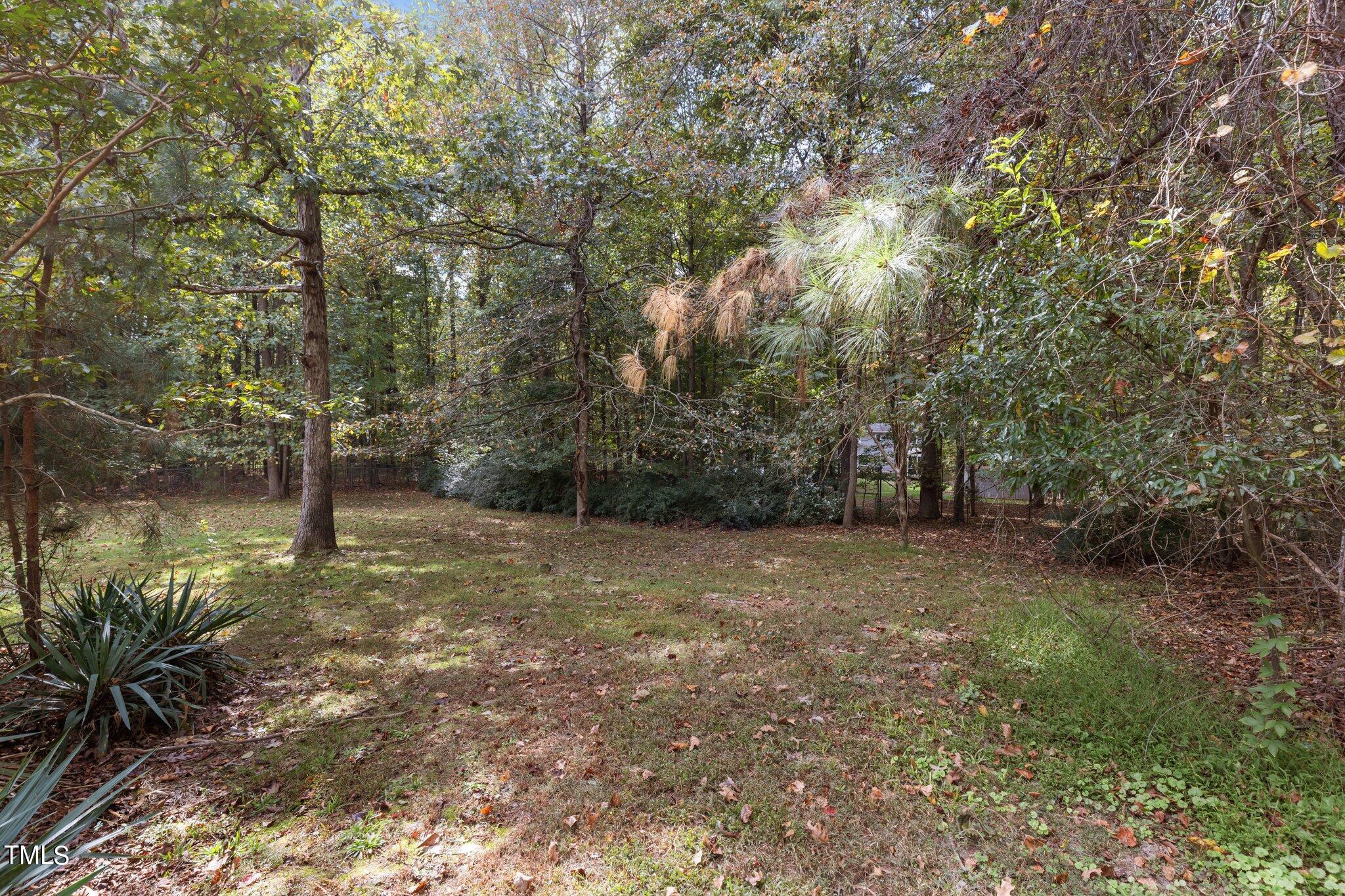 5207 Russell Road Durham, NC 27712 - Photo 34 of 50 39-web-or-mls-8Y3A8510