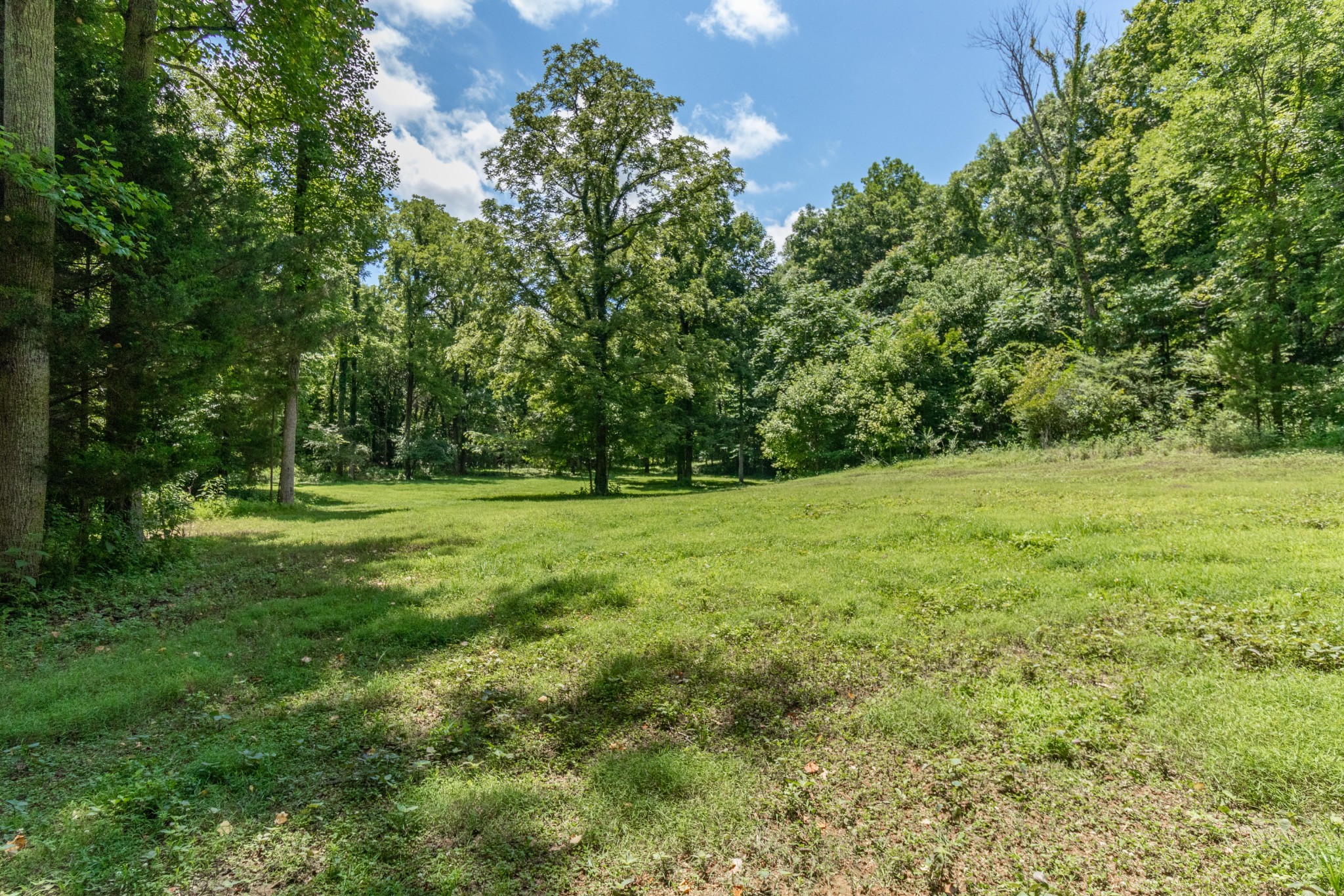 10022 Spanntown Road Arrington, TN 37014 - Photo 3 of 4 Gallery Image 3