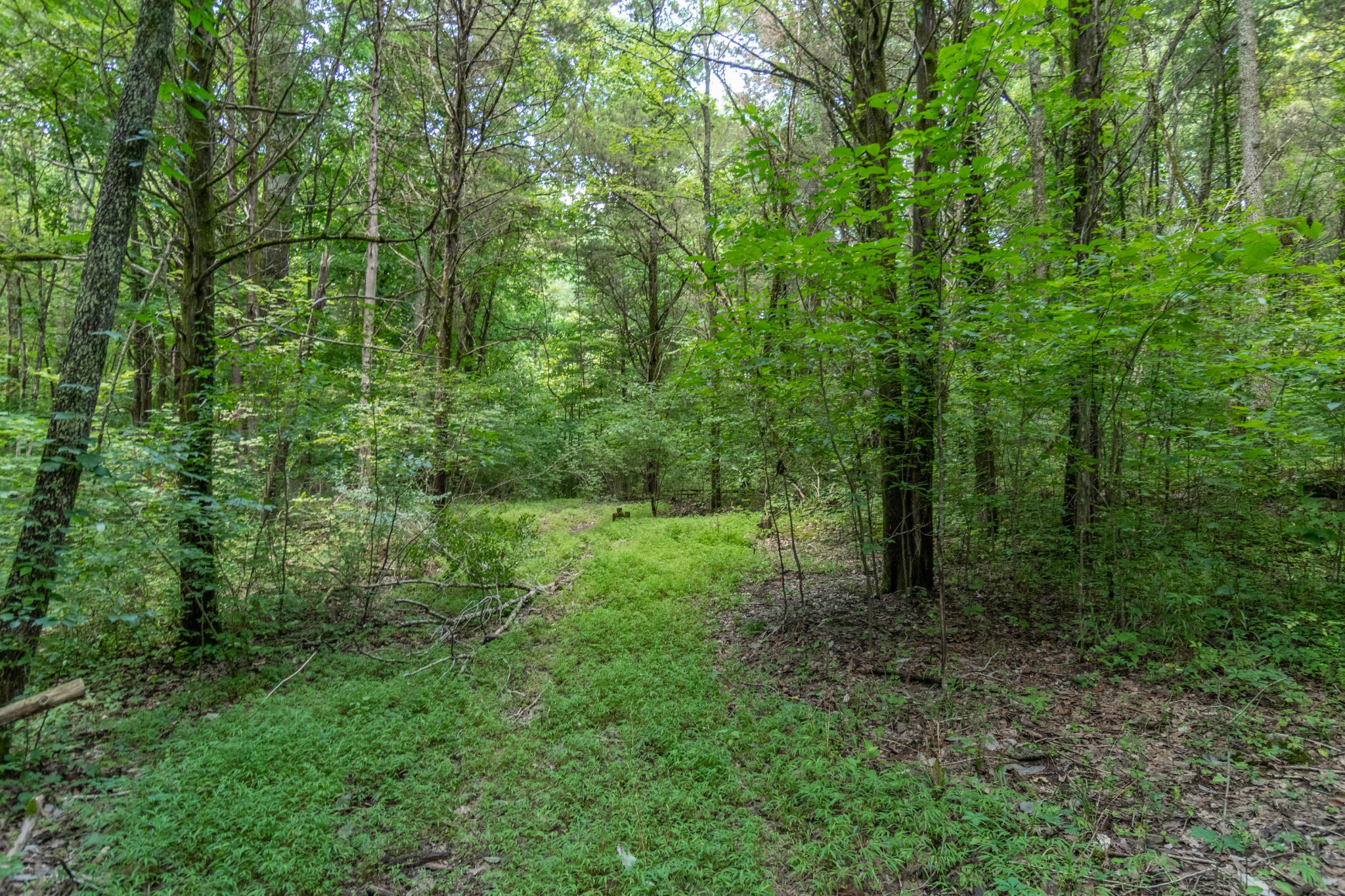 10022 Spanntown Road Arrington, TN 37014 - Photo 4 of 4 Gallery Image 4