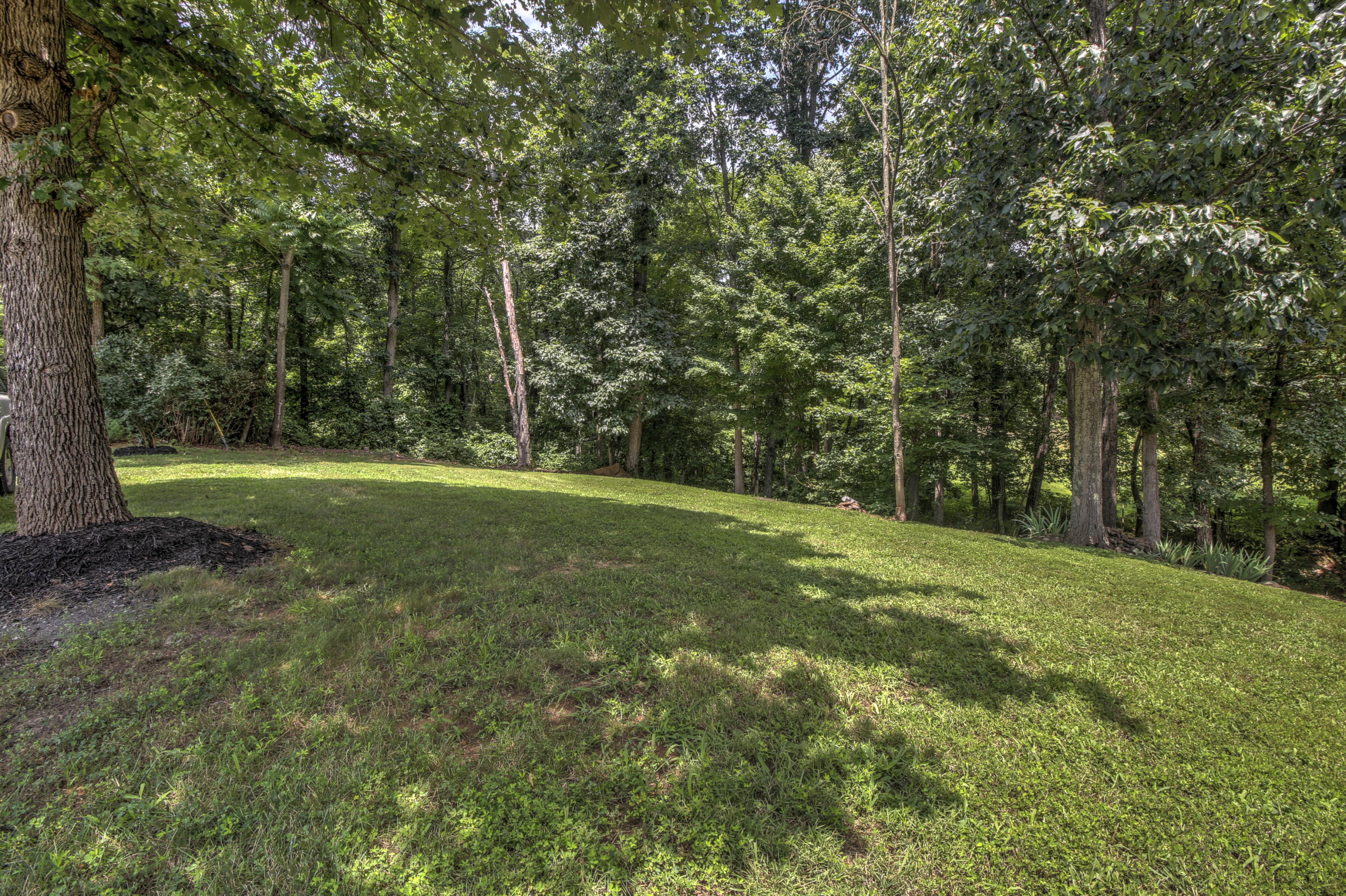 863 Paint Bank Road Salem, VA 24153 - Photo 49 of 50 _MG_4315_6_7