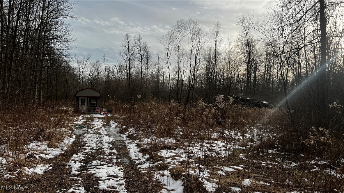 5465 Herner County Line Road Southington, OH 44470 - Photo 1 of 14 Gallery Image 1