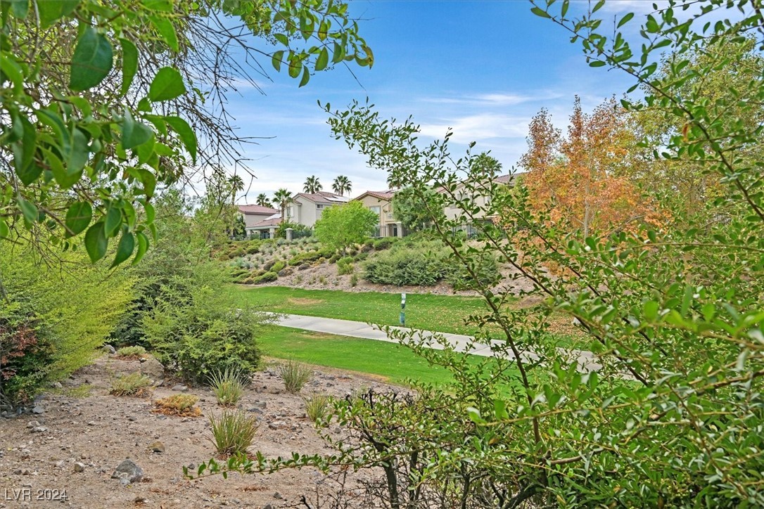 1335 Rolling Sunset Street Henderson, NV 89052 - Photo 26 of 41