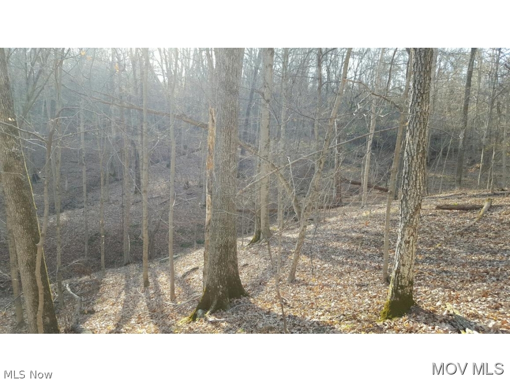 1980 Youba Ridge Road Coolville, OH 45723 - Photo 4 of 7 Gallery Image 4