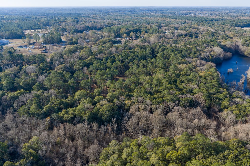 347 North Martin Street Geneva, AL 36340 - Photo 39 of 42