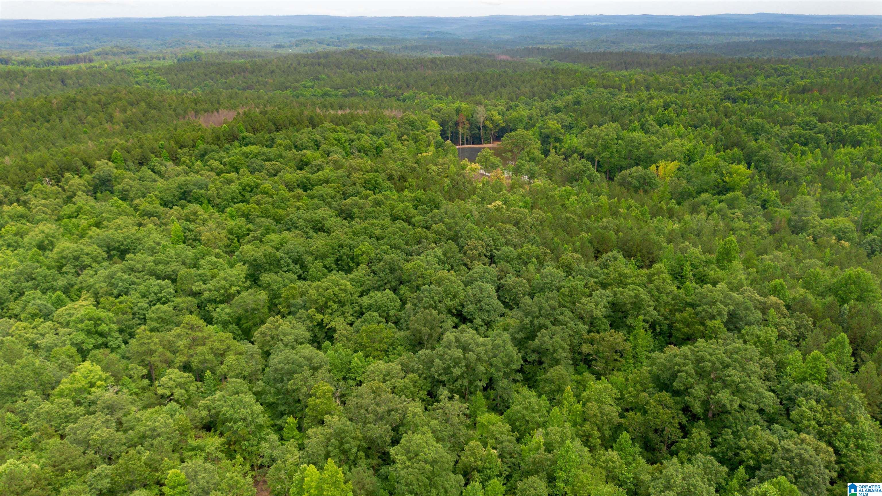 Vineyard Road, Unit 1 2 4 5 6 Fruithurst, AL 36262 - Photo 4 of 19